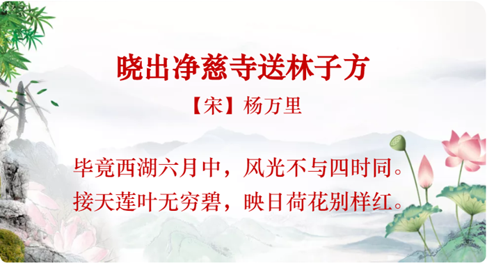 吟咏这八首荷花诗词，为生活添一抹鲜艳-图片3