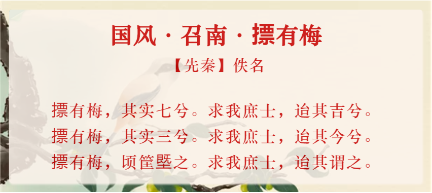 《摽有梅》|《诗经》里的恨嫁女
